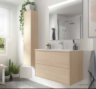 Mueble de baño Optimus,supendido 2 cajones Salgar