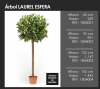 ..Planta de laurel artificial con tronco natural y con macetero básico Esfera Decoplanta