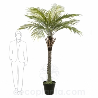 ÁRBOL GRAN PALMERA INTERIOR ARTIFICIAL  430329