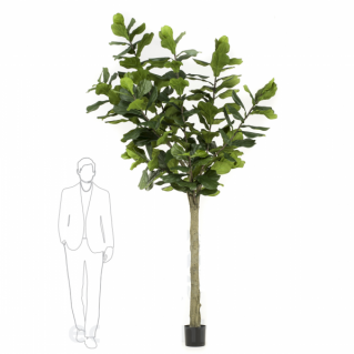 ÁRBOL FICUS LYRATA ALTO INTERIOR ARTIFICIALES 423122