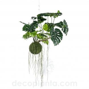 KOKEDAMA MONSTERA COLGANTE TECHO DECOPLANTA 