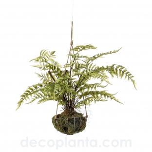 KOKEDAMA HELECHO COLGANTE TECHO DECOPLANTA 