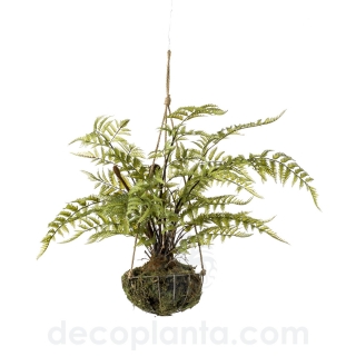 KOKEDAMA HELECHO COLGANTE TECHO DECOPLANTA 