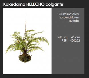 KOKEDAMA HELECHO COLGANTE TECHO DECOPLANTA 