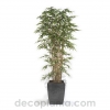 ÁRBOL BAMBÚ PREMIUM DECOPLANTA 