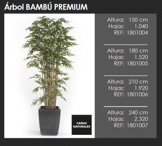 ÁRBOL BAMBÚ PREMIUM DECOPLANTA 