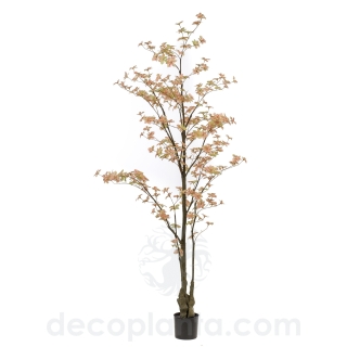 ÁRBOL TROPAELUM NARANJA DECOPLANTA 430599