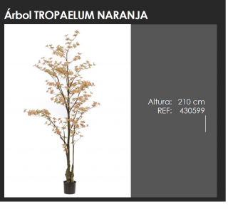 ÁRBOL TROPAELUM NARANJA DECOPLANTA 430599