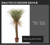 ÁRBOL YUCCA ELEGANT SALVAJE  DECOPLANTA 423944