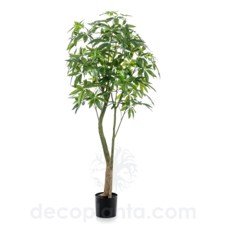 ÁRBOL PACHIRA  DECOPLANTA 427678