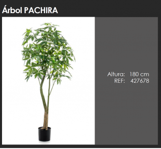 ÁRBOL PACHIRA  DECOPLANTA 427678