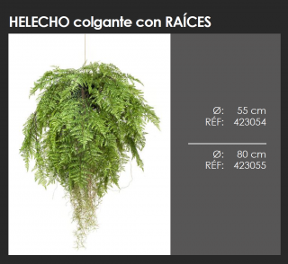 HELECHO COLGANTE CON RAÍCES DECOPLANTA  423054 