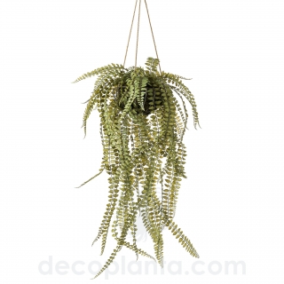 HELECHO COLGANTE KOKEDAMA  DECOPLANTA  420221