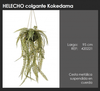 HELECHO COLGANTE KOKEDAMA  DECOPLANTA  420221