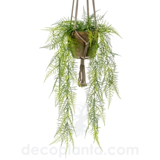 HELECHO PLUMOSO COLGANTE  DECOPLANTA  420808