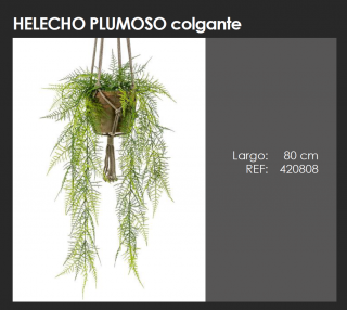 HELECHO PLUMOSO COLGANTE  DECOPLANTA  420808