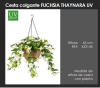 CESTA COLGANTE FUCHSIA THAYNARA UV  DECOPLANTA  432146